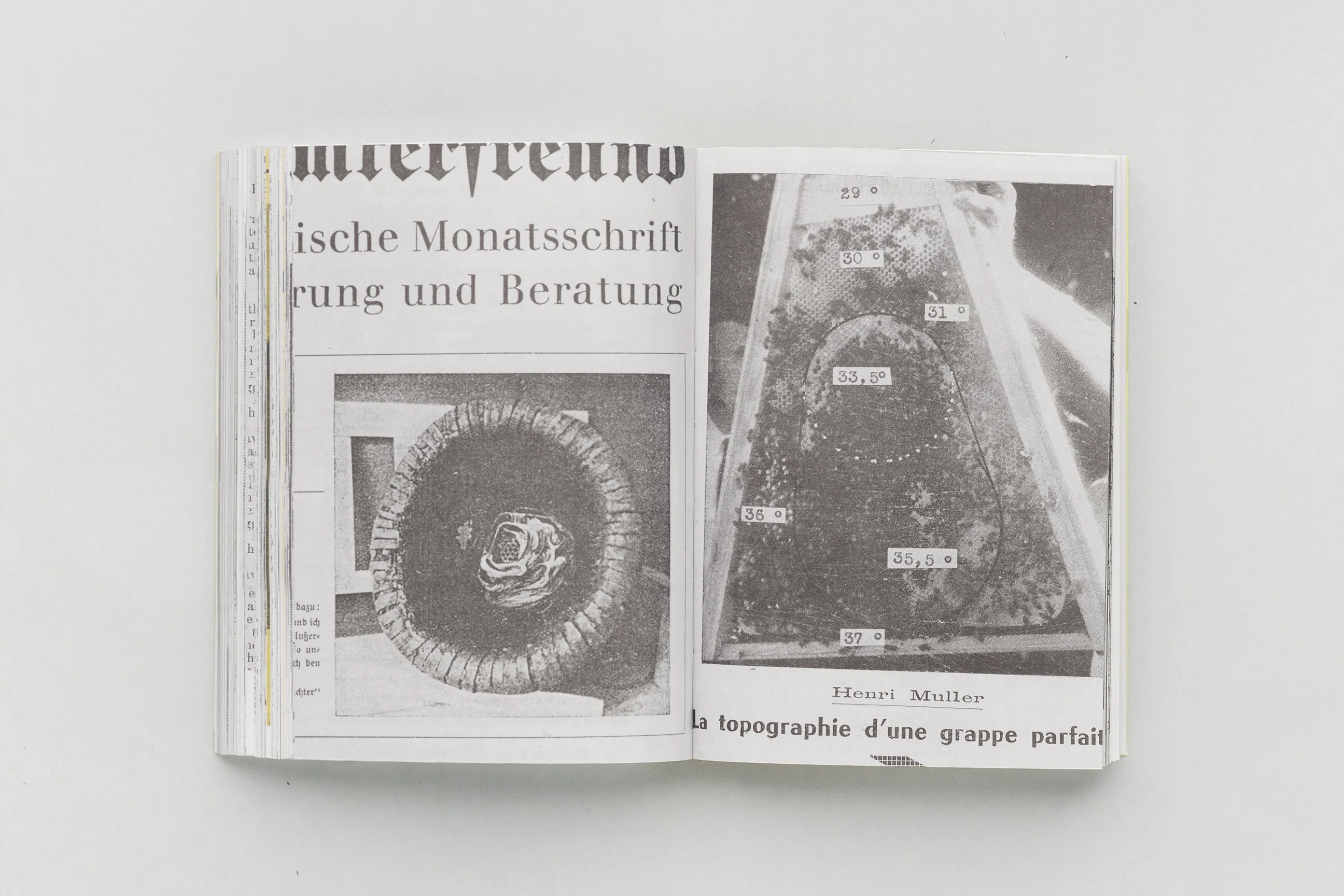 Aladin Borioli (Apian) - RUCHES, 2400 A.E.C. – 1852 E.C. (Une Histoire visuelle de la ruche) - Image 11