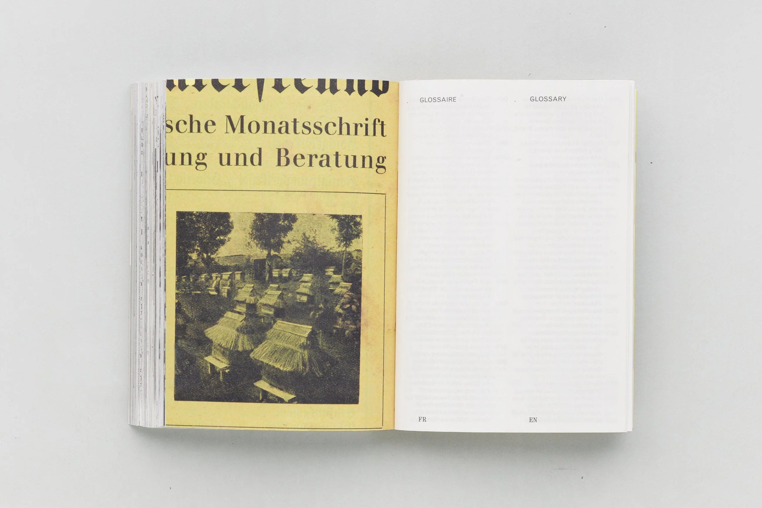 Aladin Borioli (Apian) - RUCHES, 2400 A.E.C. – 1852 E.C. (Une Histoire visuelle de la ruche) - Image 12