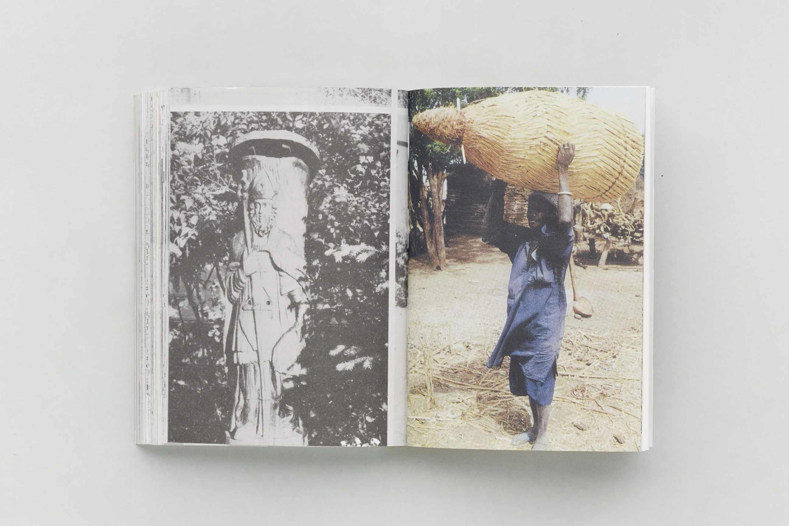 Aladin Borioli (Apian) - RUCHES, 2400 A.E.C. – 1852 E.C. (Une Histoire visuelle de la ruche) - Image 13