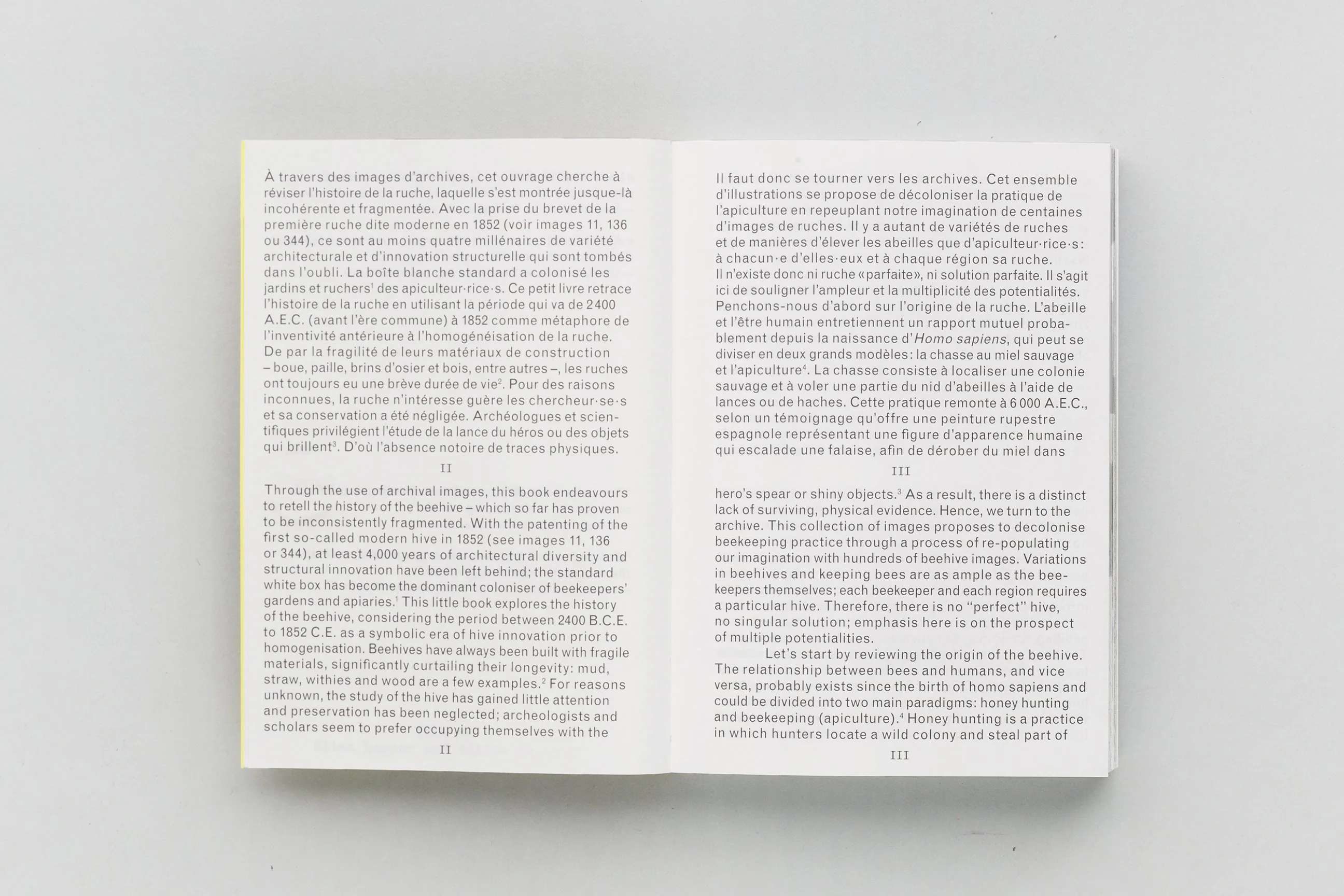 Aladin Borioli (Apian) - RUCHES, 2400 A.E.C. – 1852 E.C. (Une Histoire visuelle de la ruche) - Image 5