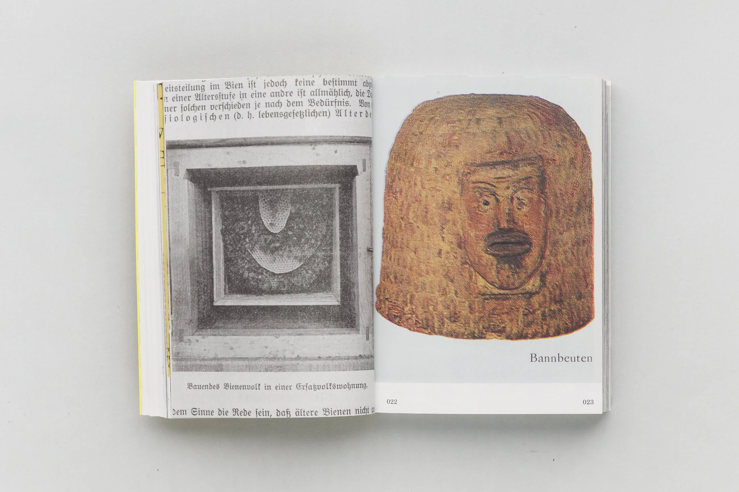 Aladin Borioli (Apian) - RUCHES, 2400 A.E.C. – 1852 E.C. (Une Histoire visuelle de la ruche) - Image 6