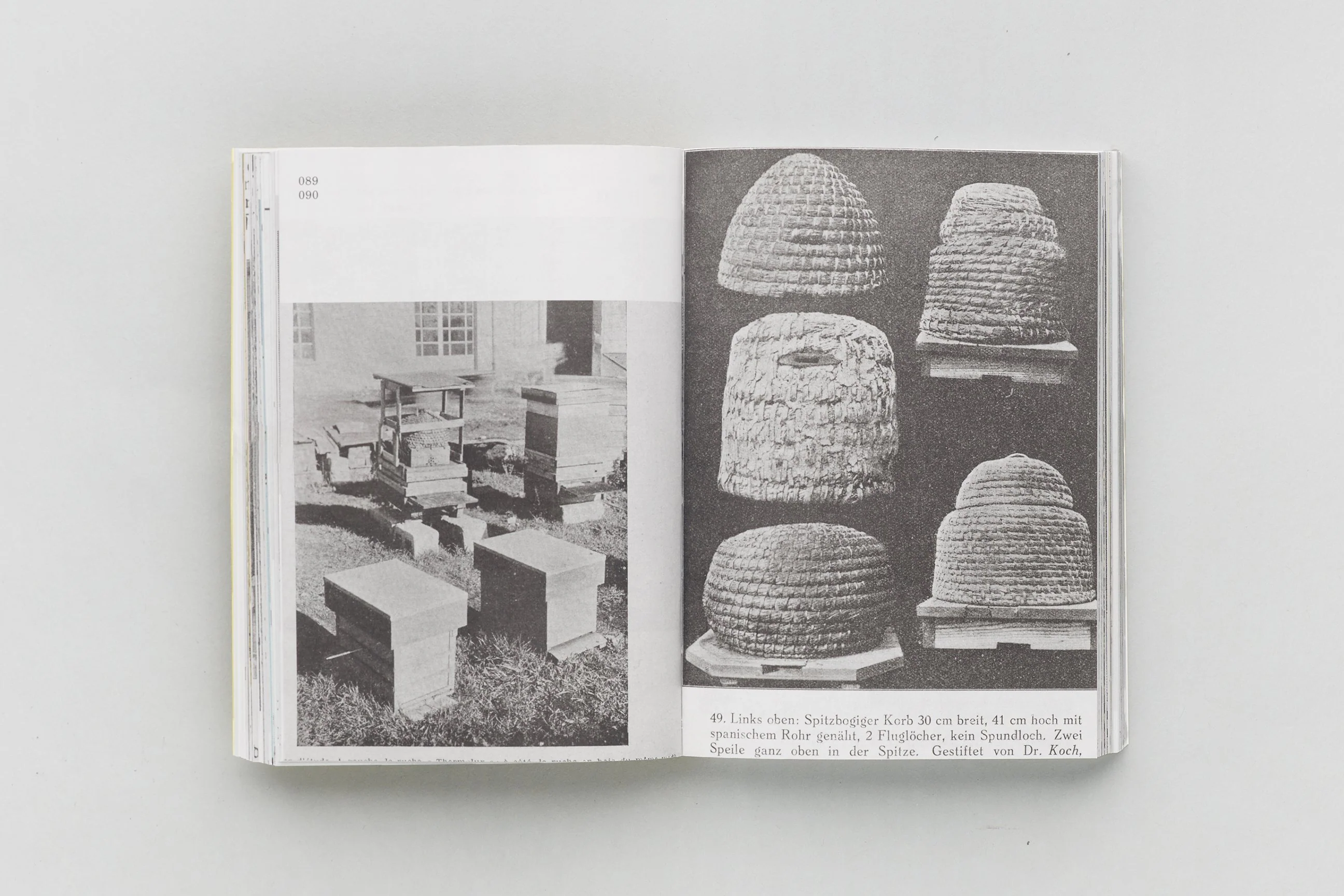 Aladin Borioli (Apian) - RUCHES, 2400 A.E.C. – 1852 E.C. (Une Histoire visuelle de la ruche) - Image 9