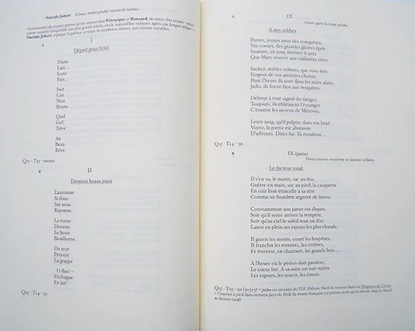 Jacques Roubaud - Quasi-Cristaux - Image 6