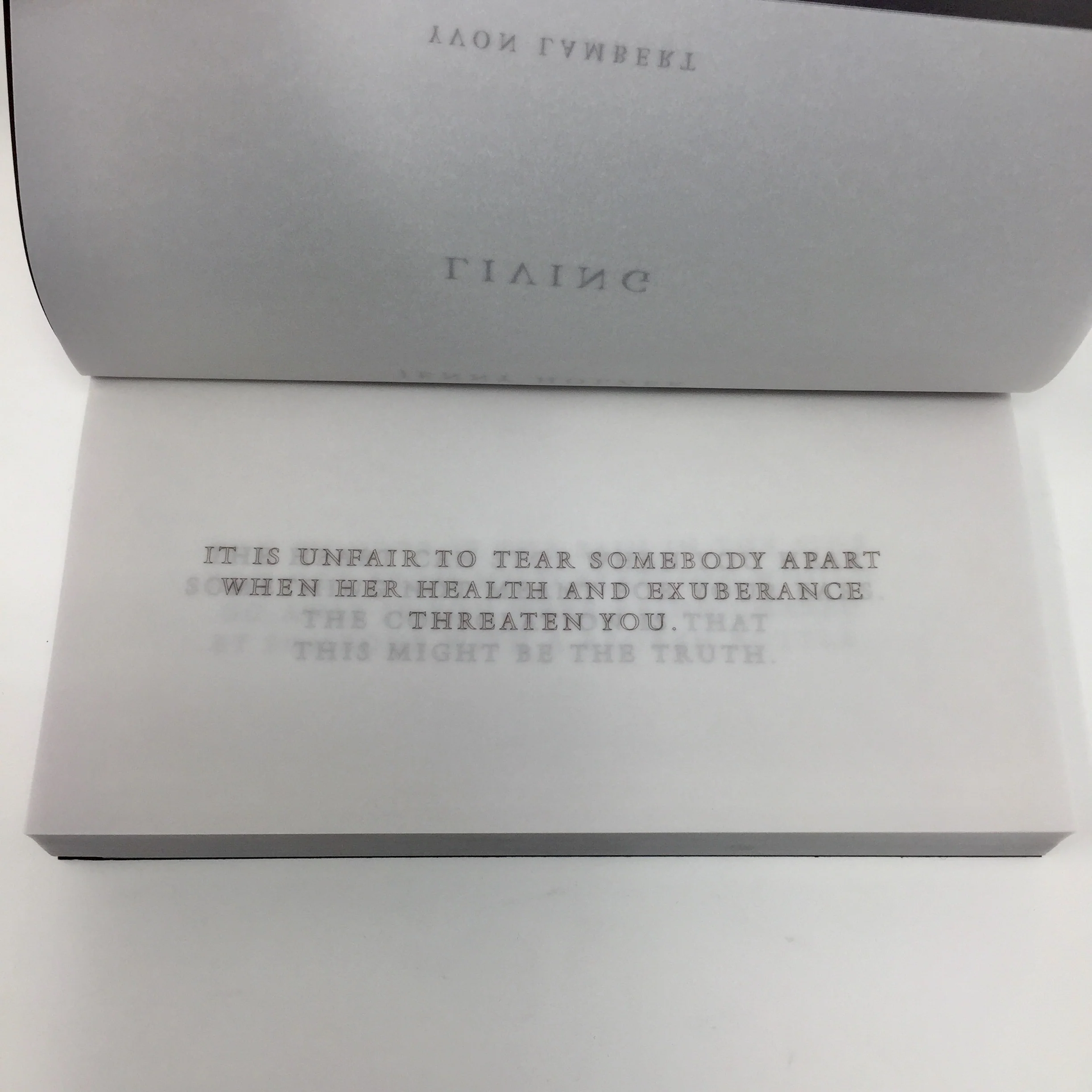 Jenny Holzer - Living - Image 5