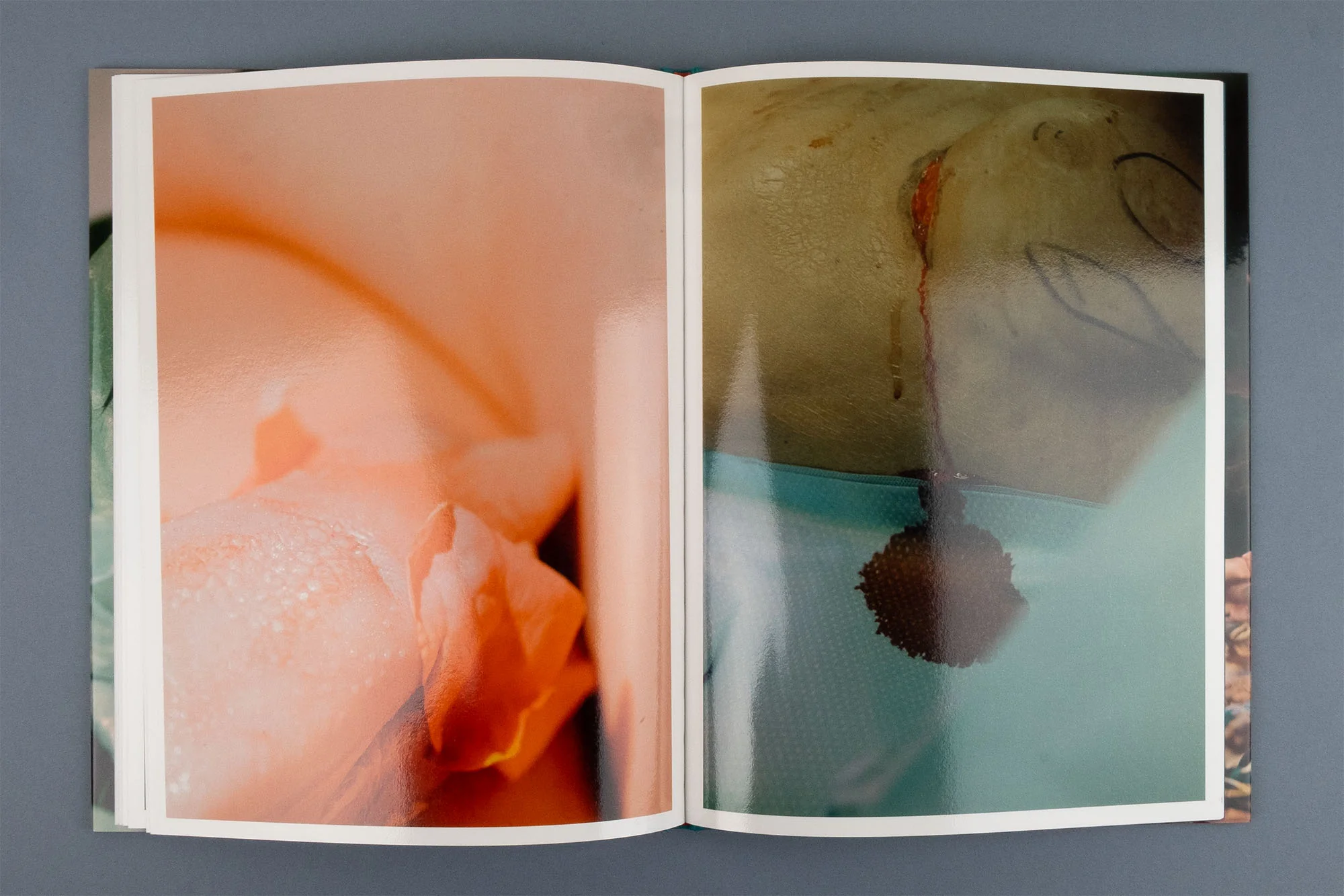 Lucile Boiron - Mise en Pièces - Image 11