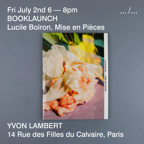 Lucile Boiron - Mise en Pièces - Image 14