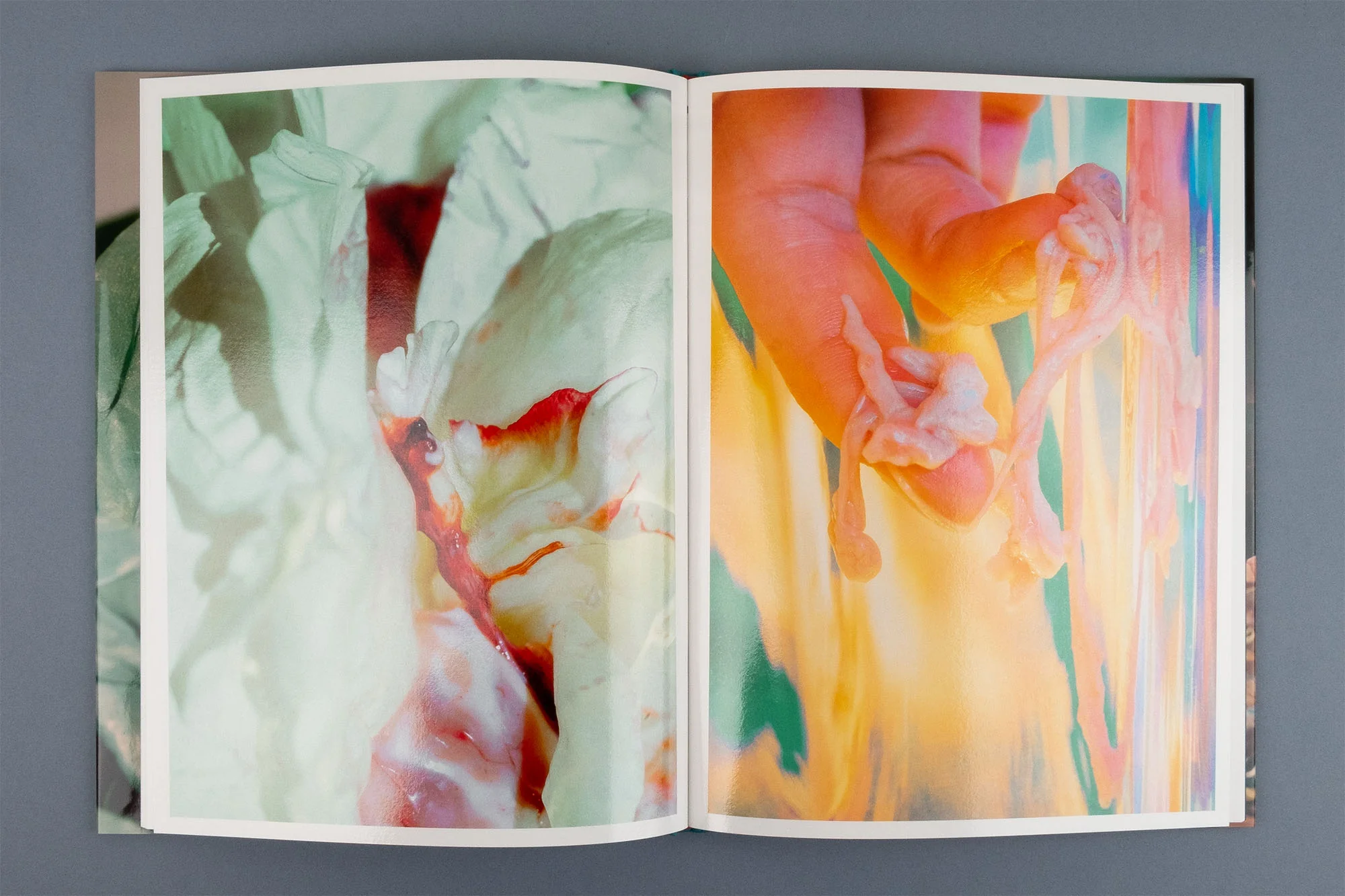 Lucile Boiron - Mise en Pièces - Image 3