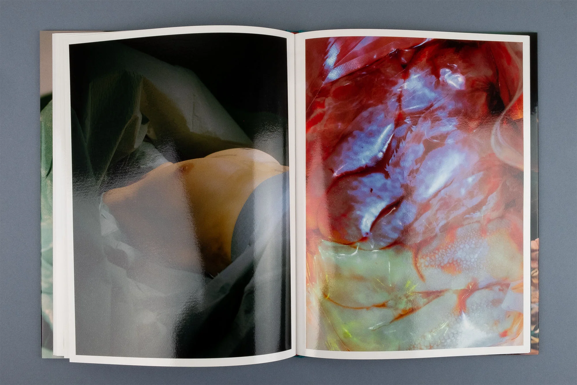 Lucile Boiron - Mise en Pièces - Image 9