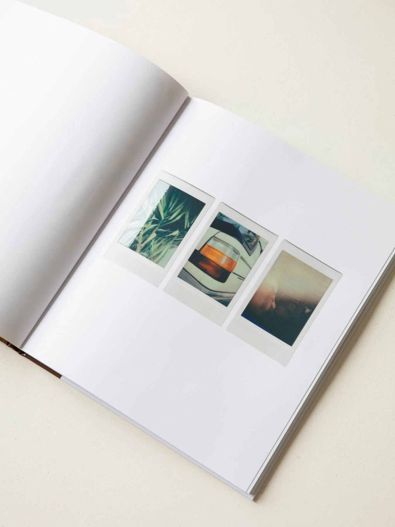 Romain Laprade - Polaroids - Image 4