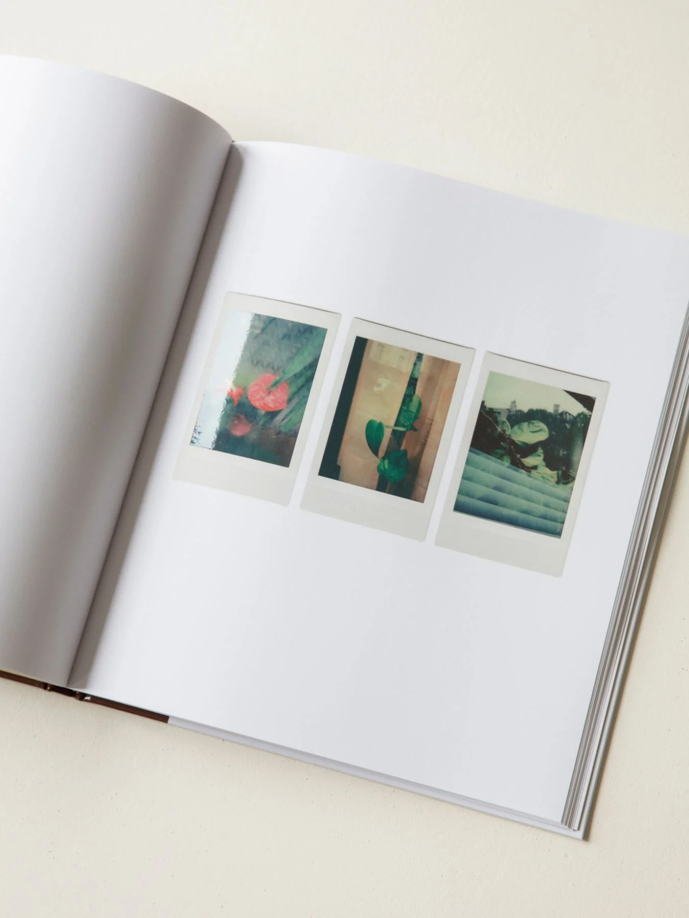 Romain Laprade - Polaroids - Image 6