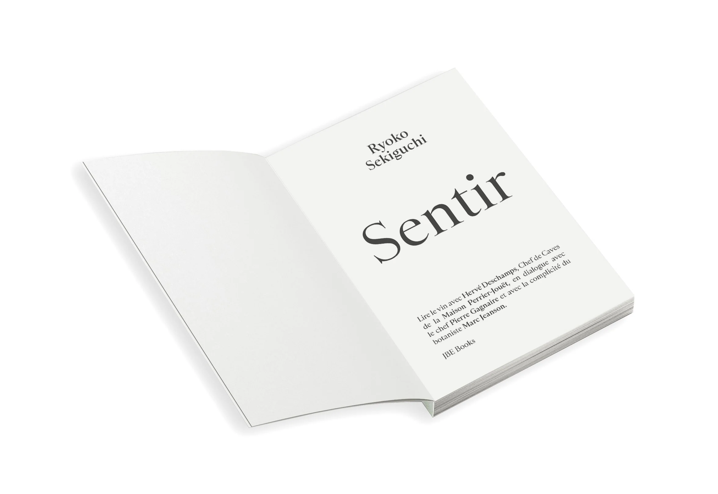 Ryoko Sekiguchi - Sentir / Feeling (FR/EN) - Image 3