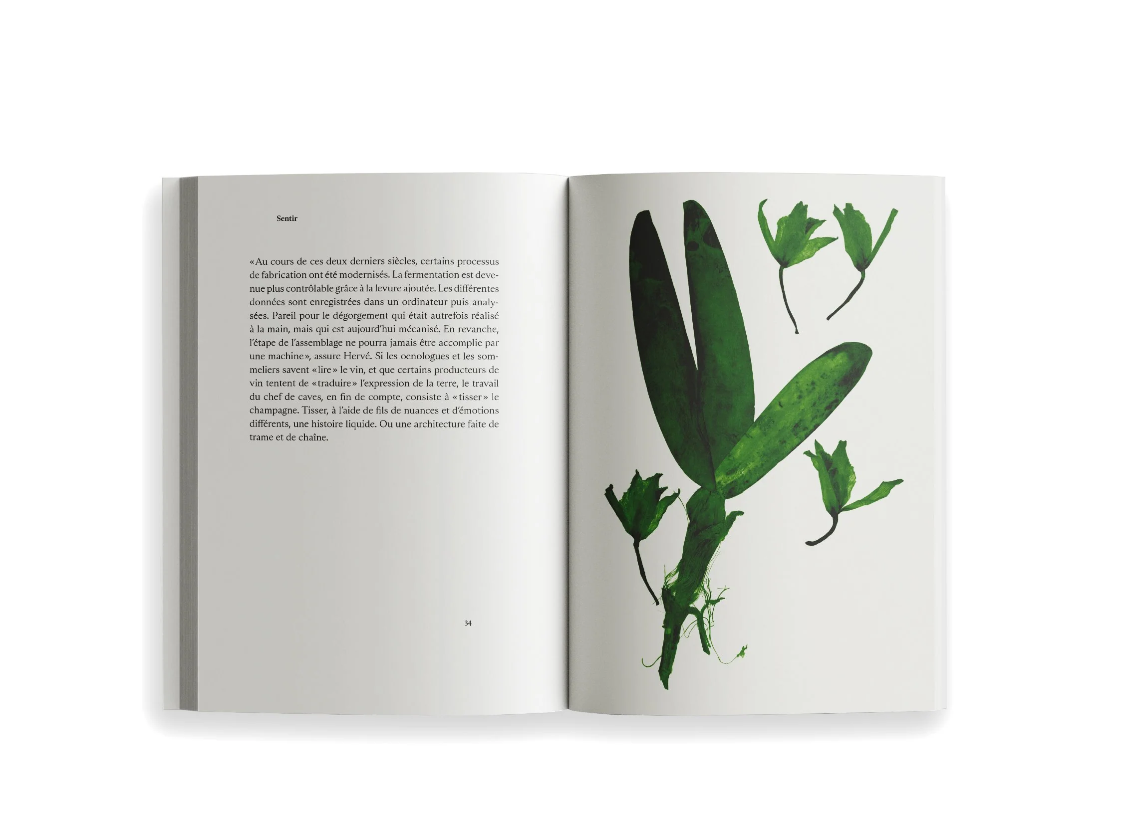 Ryoko Sekiguchi - Sentir / Feeling (FR/EN) - Image 4