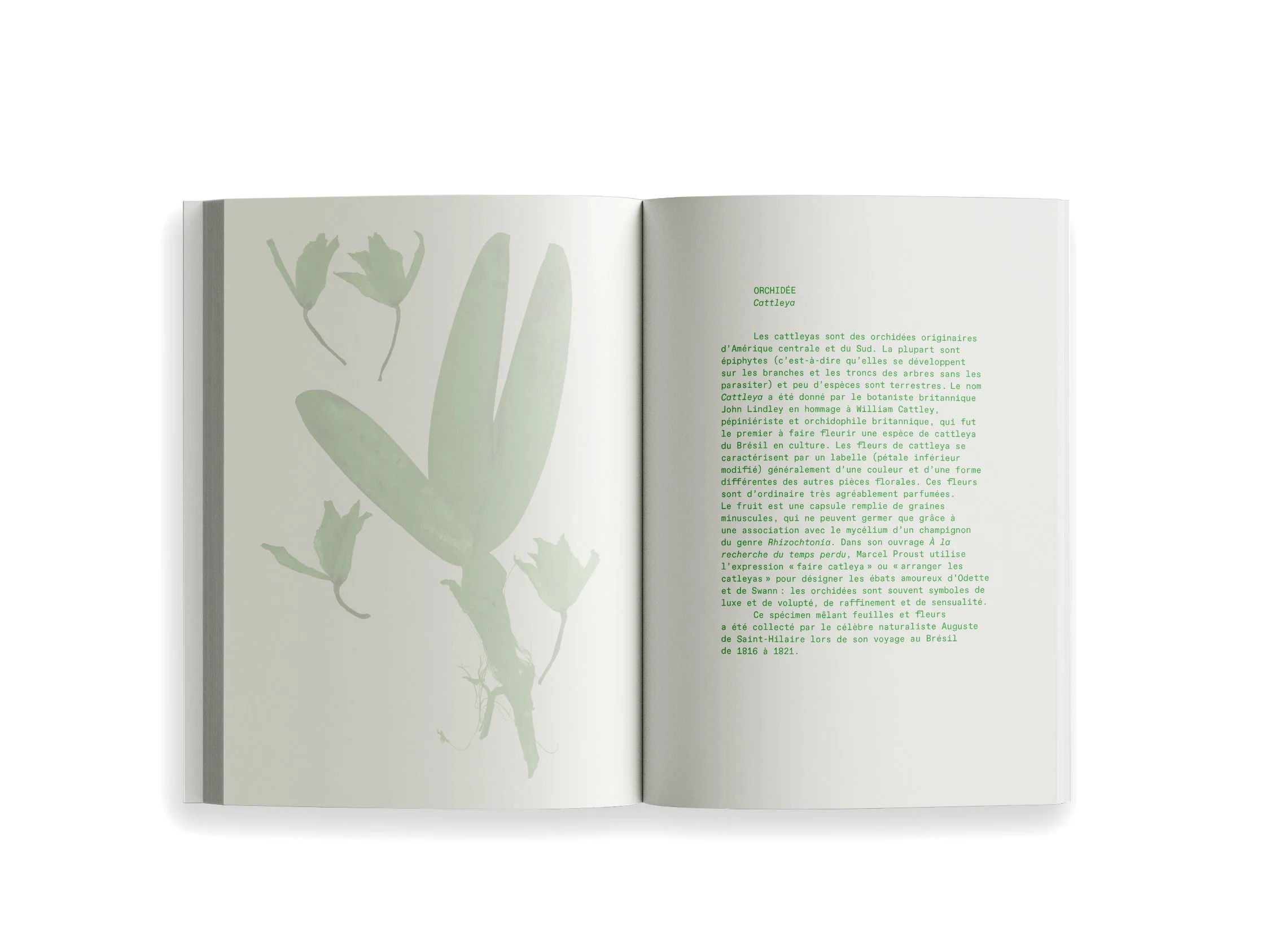 Ryoko Sekiguchi - Sentir / Feeling (FR/EN) - Image 5