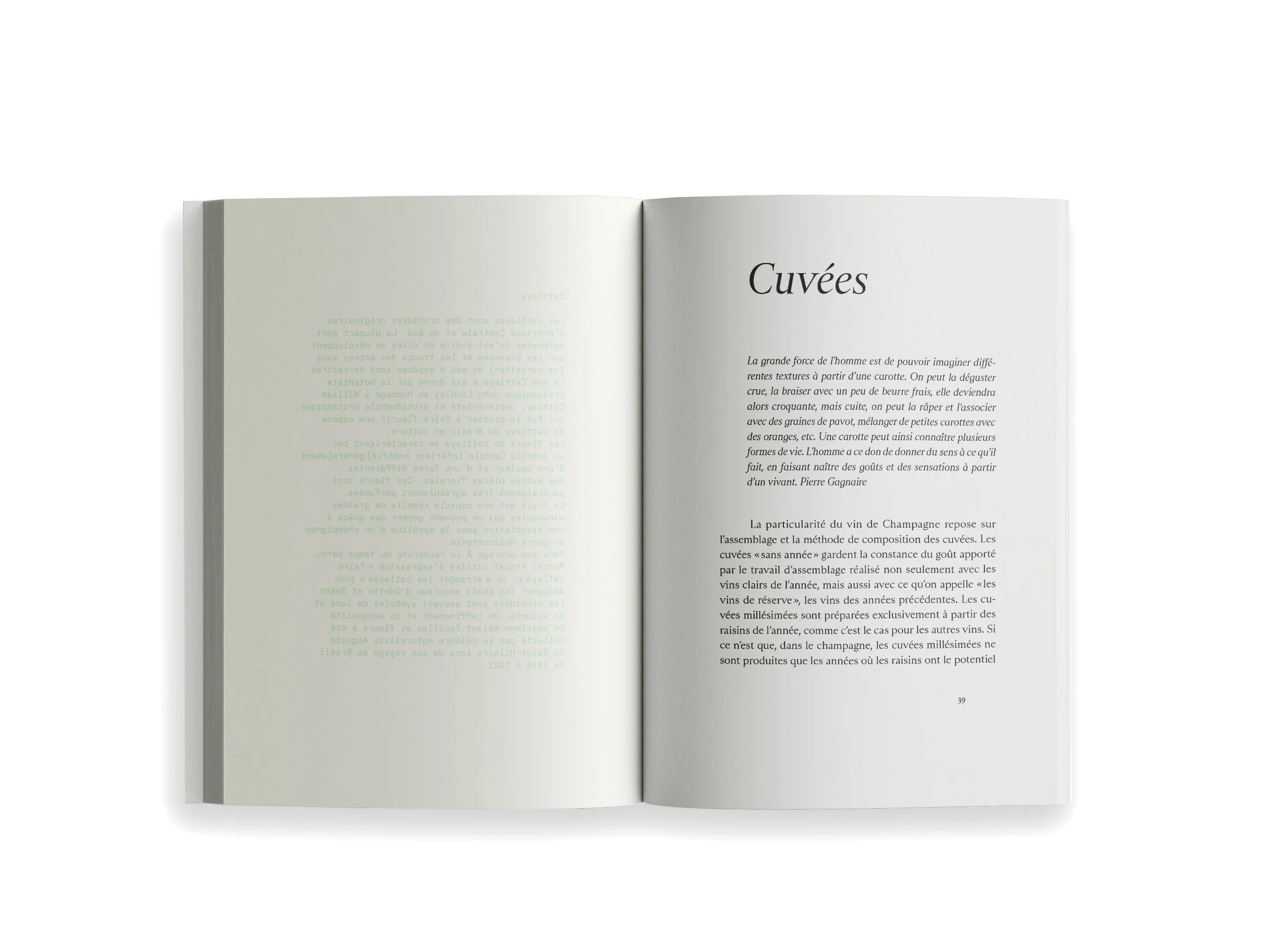 Ryoko Sekiguchi - Sentir / Feeling (FR/EN) - Image 6