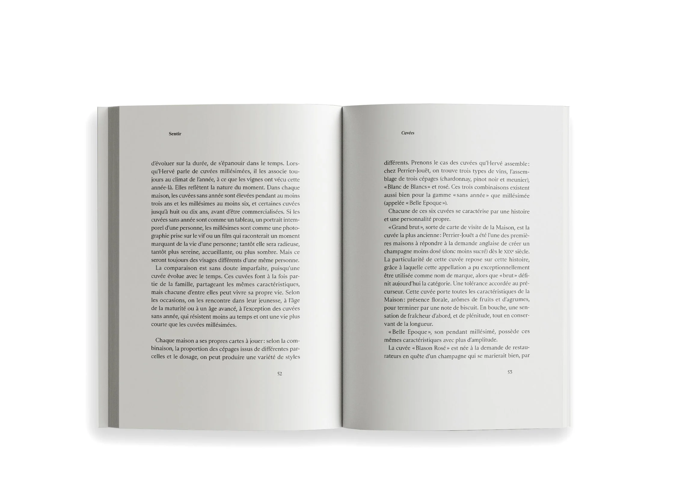 Ryoko Sekiguchi - Sentir / Feeling (FR/EN) - Image 7