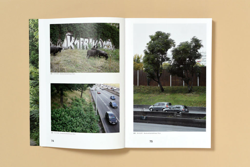 Simon Boudvin - Ailanthus Altissima, Une monographie située de l'ailante - Image 10