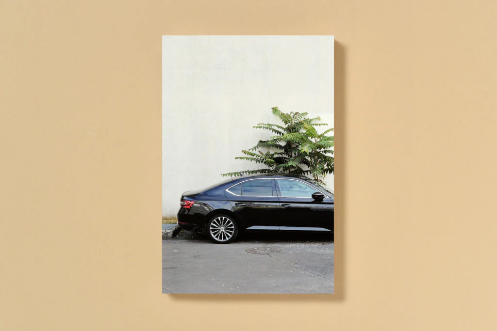 Simon Boudvin - Ailanthus Altissima, Une monographie située de l'ailante - Image 3