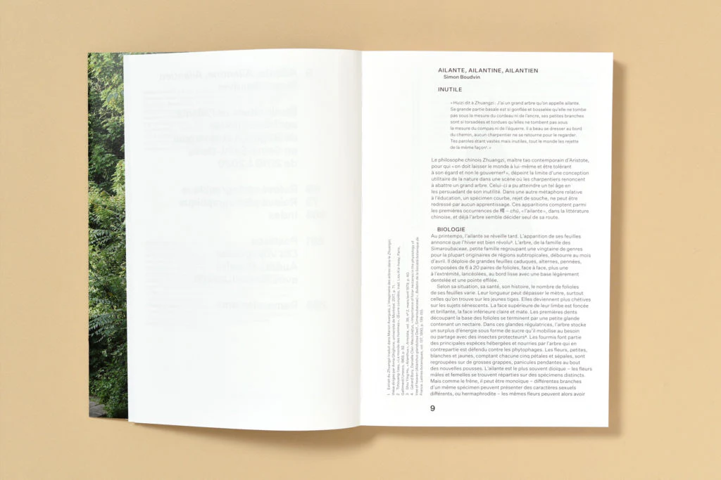 Simon Boudvin - Ailanthus Altissima, Une monographie située de l'ailante - Image 6