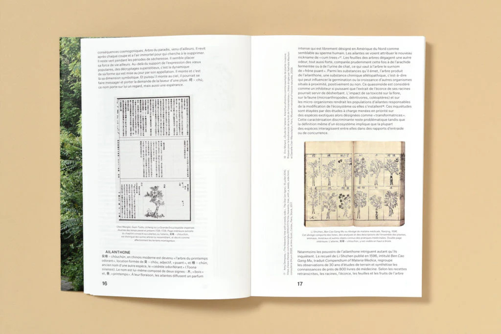 Simon Boudvin - Ailanthus Altissima, Une monographie située de l'ailante - Image 7