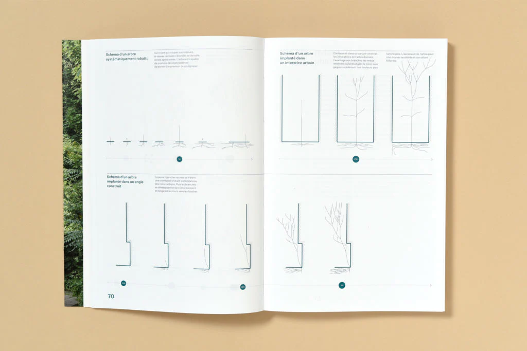 Simon Boudvin - Ailanthus Altissima, Une monographie située de l'ailante - Image 9
